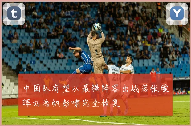 中国队有望以最强阵容出战若张瑷晖刘浩帆彭啸完全恢复