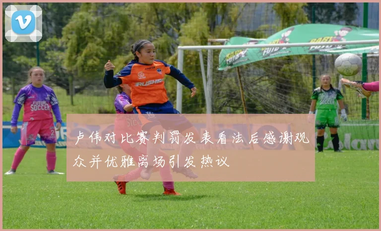 卢伟对比赛判罚发表看法后感谢观众并优雅离场引发热议